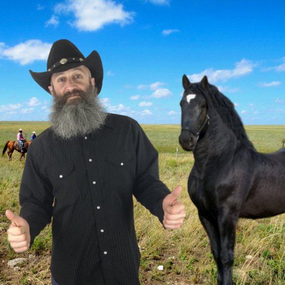 Vintage Other - Vintage Wrangler Western Pearl Snap Shirt L